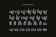 Catgeora - Elegant Serif Font, a Serif Font by QR Design Studio (Thumbnail 7 of 16)