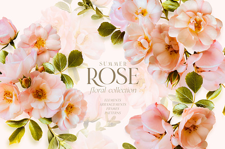 Summer Wild Rose Pink Florals, an Object Graphic by Eclectic Anthology