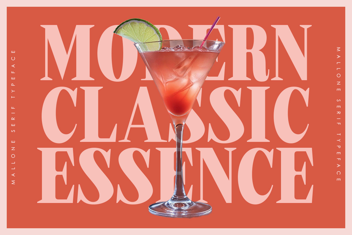 Mallone | 12 Fonts, a Serif Font by Skinny Type (Photo 8 of 10)