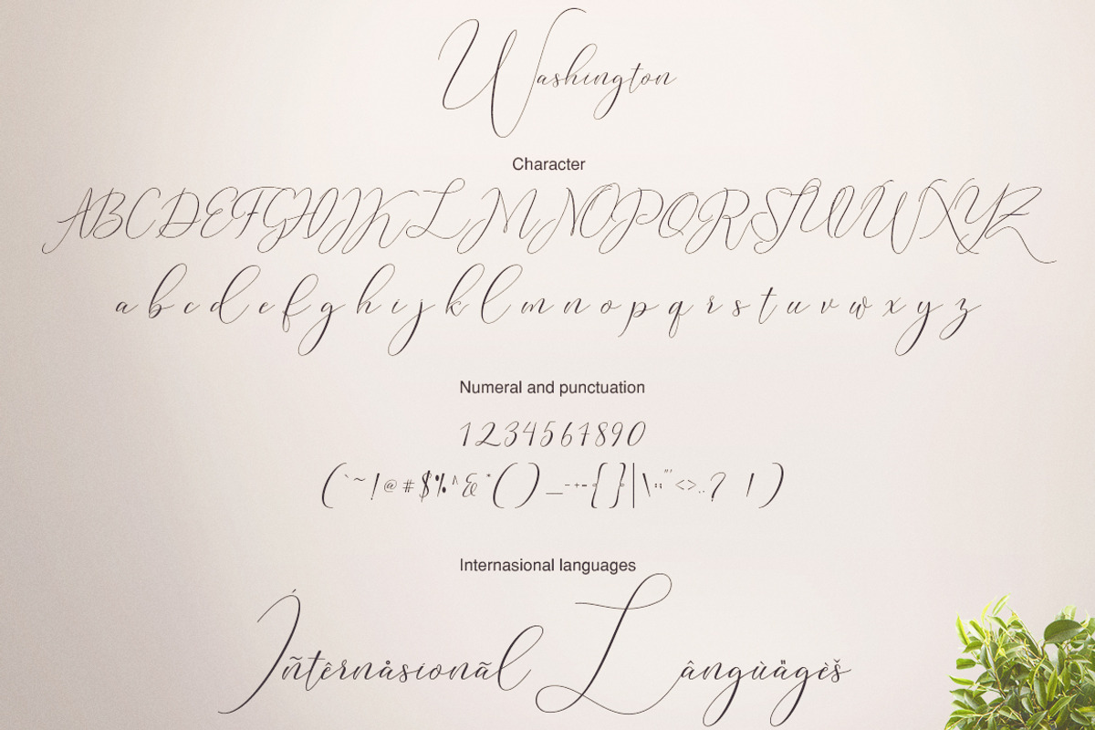 Washington Calligraphy Modern, a Script Font by Teweka (Photo 19 of 19)