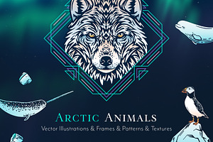 Animal Illustrations Bundle 1