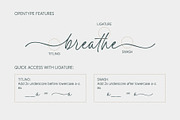 Romantis Scene | Flowing Script, a Script Font by Lemonthe (Thumbnail 3 of 6)