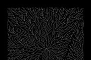 Growth - 10 Backgrounds, a Texture Graphic by GarryKillian (Thumbnail 6 of 11)