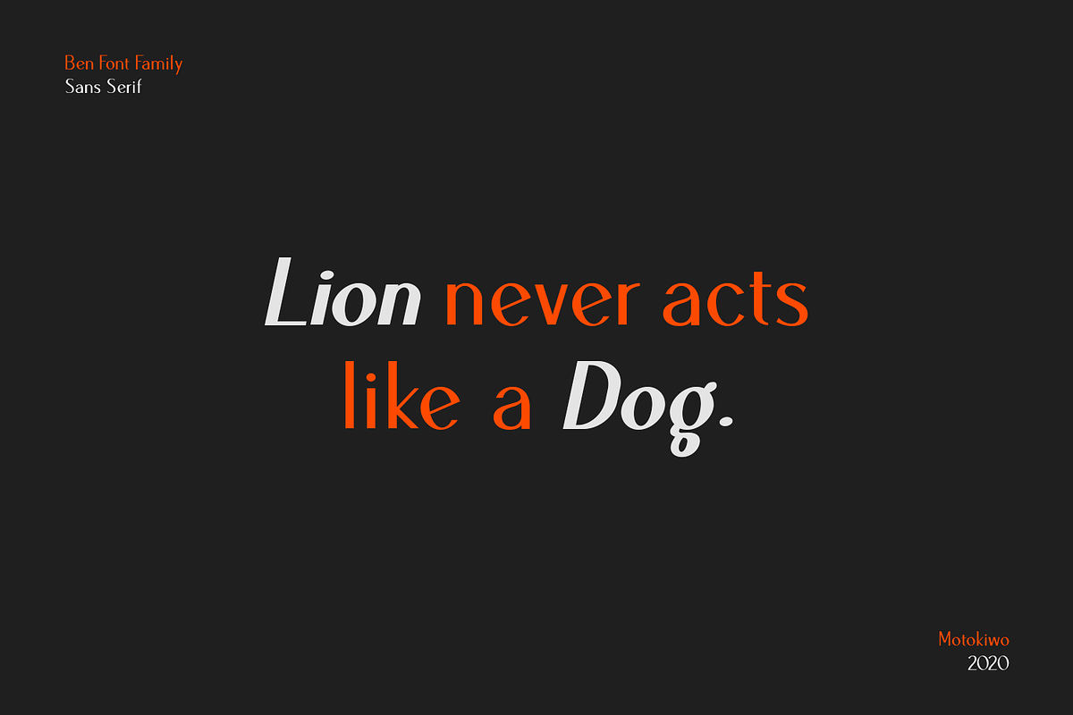 Ben Sans Serif Family, a Sans Serif Font by Motokiwo (Photo 10 of 13)