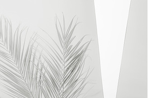 Palm branches casting shadow on, an Abstract Photo by Anna Efetova