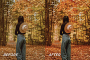 15 Autumnal Lightroom Presets, a Preset Add-On by TheWayfarerShoppe (Thumbnail 2 of 8)