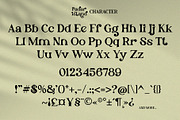 Padar Island - Display Serif Font, a Serif Font by erlosDESIGN (Thumbnail 18 of 19)