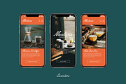 Luminaire Script, a Script Font by Any-Type® Foundry (Thumbnail 7 of 8)