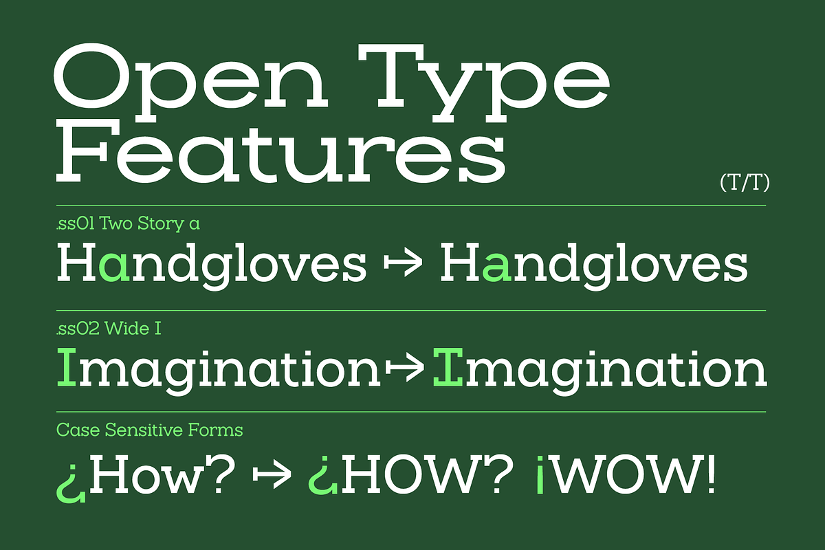 Slaab Font Family 45 Styles, a Slab Serif Font by That That Creative (Photo 11 of 13)