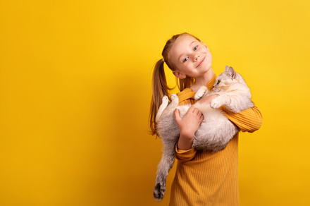 Smiling girl in a mustard sweater holding a fluffy cat against a