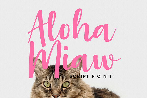Aloha Miaw Script Font preview 8