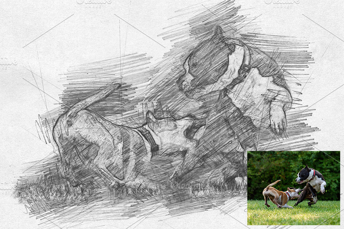 Pencil Sketch Photoshop Action, an Action Add-On by AndriyFM (Photo 10 of 15)