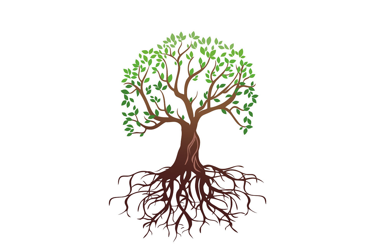Colored tree with roots vector, a Background Graphic by Svetlana Voloshina