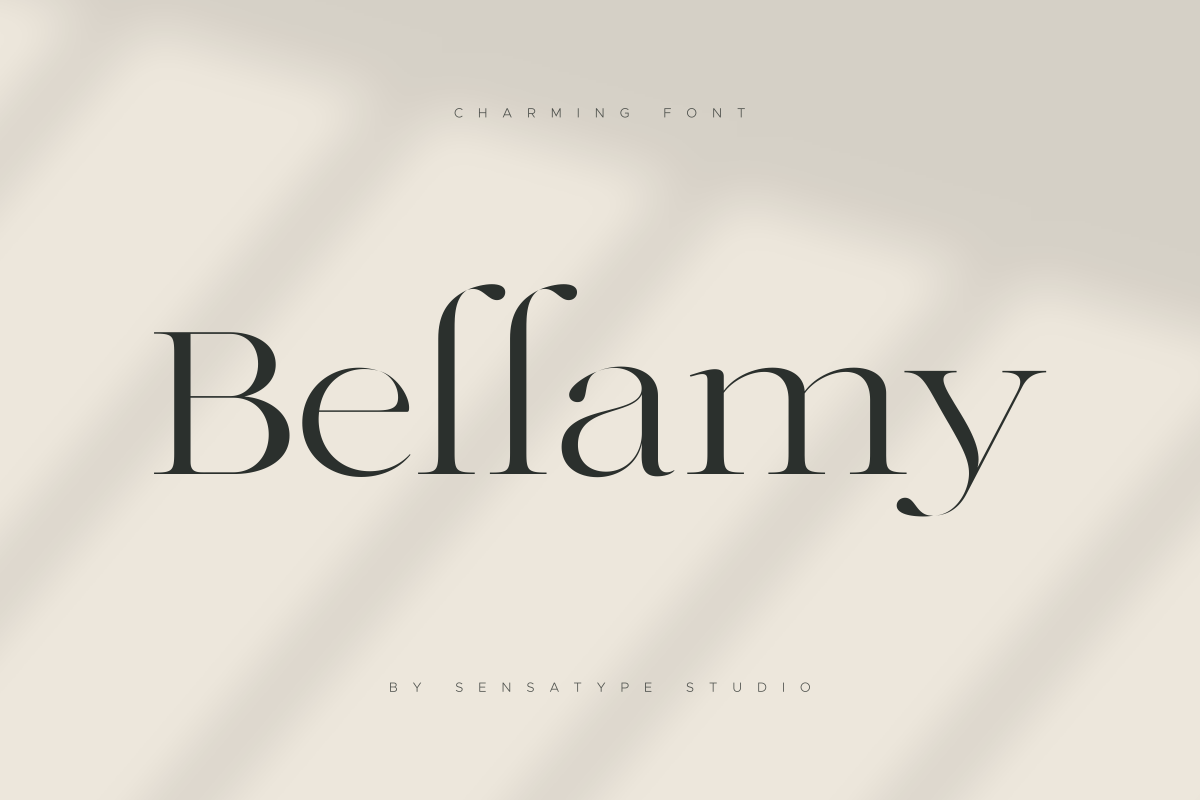 Charming - Classy & Decorative Font, a Serif Font by Sensatype (Photo 7 of 21)
