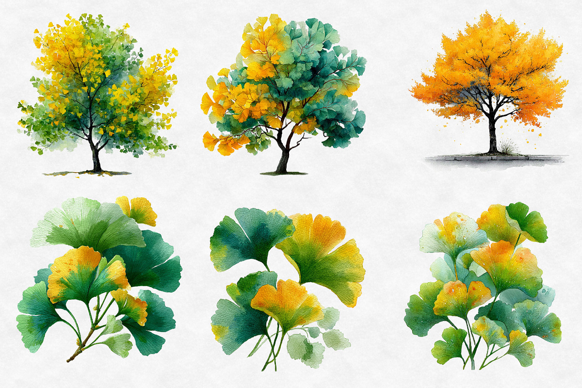 Watercolor Ginkgo Clipart, an Illustration by Designworld (Photo 6 of 6)