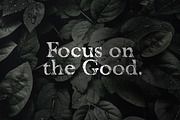 Vescona - Grunge Serif Font, a Slab Serif Font by AndrewPixel (Thumbnail 5 of 8)