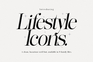 Lifestyle Icons | 8 Font Files, a Serif Font by Pista Mova