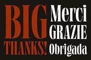 Grischel Condensed Serif Display, a Serif Font by Martype (Thumbnail 9 of 9)