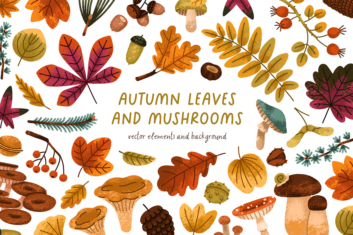 Autumn leaves. Fall set, backgrounds, a Seasonal Illustration by Good Studio (Photo 1 of 13)
