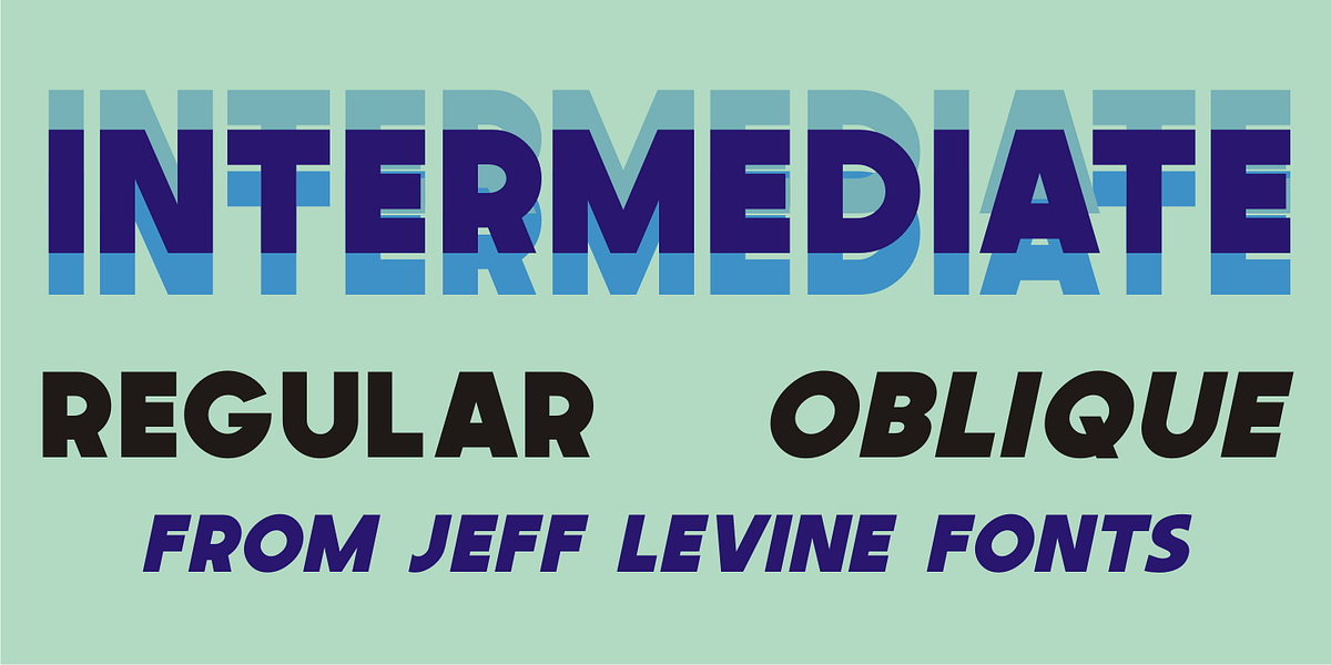 Intermediate JNL, a Sans Serif Font by Jeff Levine Fonts