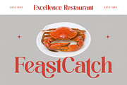 Beyond Wandler Modern Serif Font, a Serif Font by timelesstype.co (Thumbnail 5 of 20)