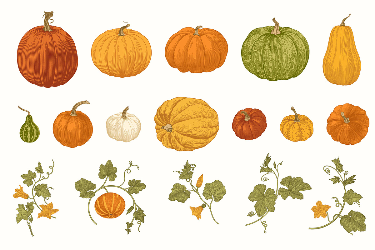 Happy Harvest, a Decorative Illustration by olga.korneeva (Photo 4 of 21)