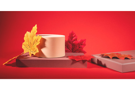 Autumn trendy background. Red and, a Holiday Photo by Lifemorning