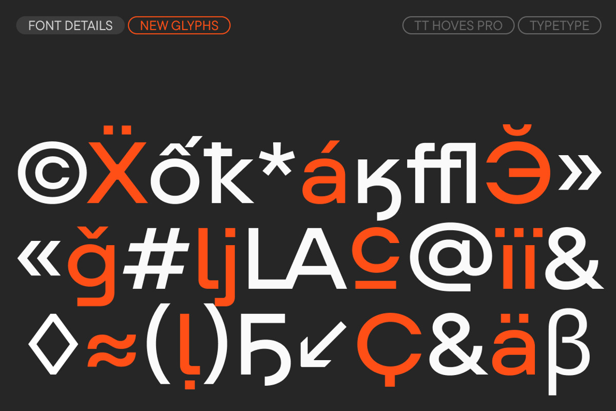 TT Hoves Pro Expanded, a Sans Serif Font by TypeType (Photo 5 of 6)