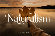 Rainfall - Elegant Display Font, a Sans Serif Font by Sensatype (Thumbnail 3 of 16)