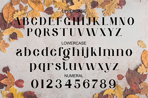 Dieng Unique Ligature Serif Typeface