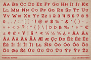 Tigreal Rough, a Slab Serif Font by Craft Supply Co. (Thumbnail 8 of 8)