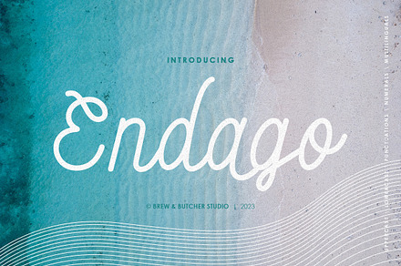 Endago | Monoline Typeface