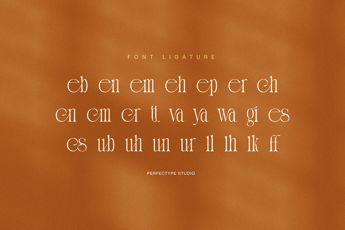 Sinteng – Modern Elegant Serif Font, a Serif Font by Perfectype (Photo 8 of 8)