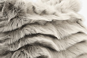 Collection of 38 fur pillows, an Object 3D Model by 3dmitruk (Thumbnail 101 of 112)