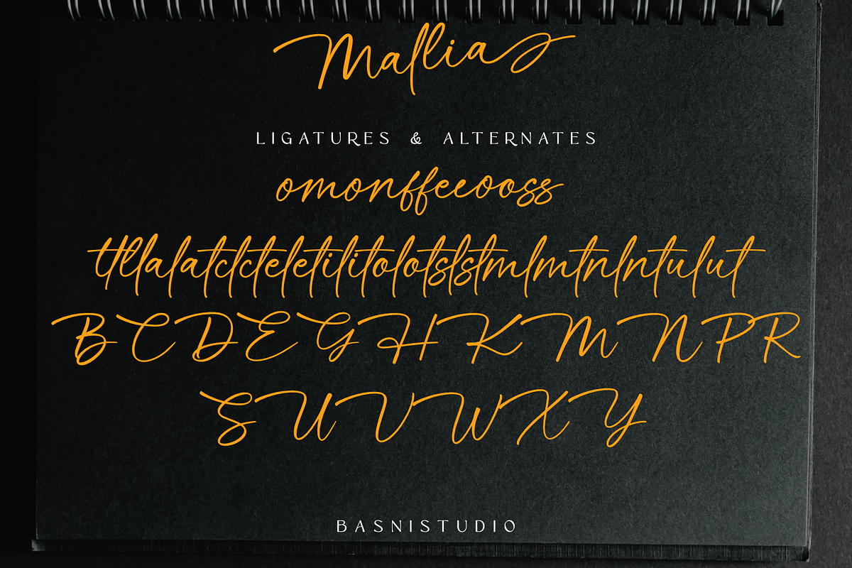 Mallia Handwritten Font, a Script Font by Basnistudio (Photo 9 of 11)
