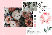 RoSA - Floral Clipart, an Illustration by The Autumn Rabbit Ltd (Thumbnail 14 of 14)