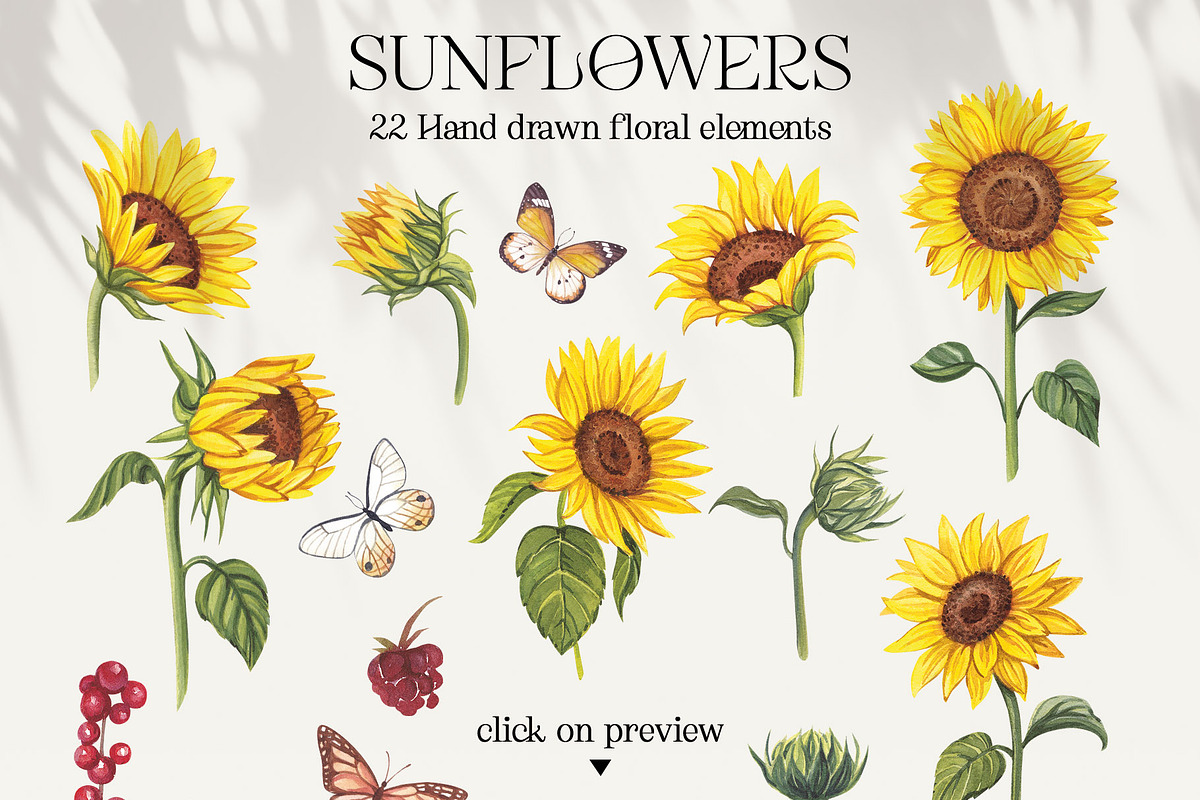 Sunflowers PNG, EPS, AI, SVG, a Graphic by Elena_Sedova (Photo 2 of 9)