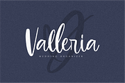 Blushon Brush Script, a Script Font by 24Design Studios (Thumbnail 7 of 9)