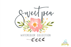 Sweet pea watercolor collection