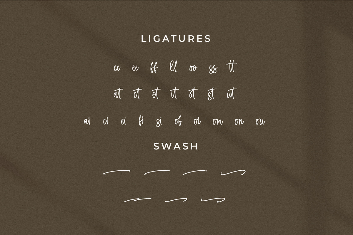 Menttally Weignota, a Script Font by Integritype Studio (Photo 11 of 15)