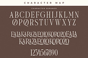 Seraneo Modern Display Typeface, a Serif Font by Letterena Studios (Thumbnail 13 of 15)