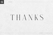 Dree serif typeface - 6 fonts, a Serif Font by Only Fonts (Thumbnail 10 of 10)