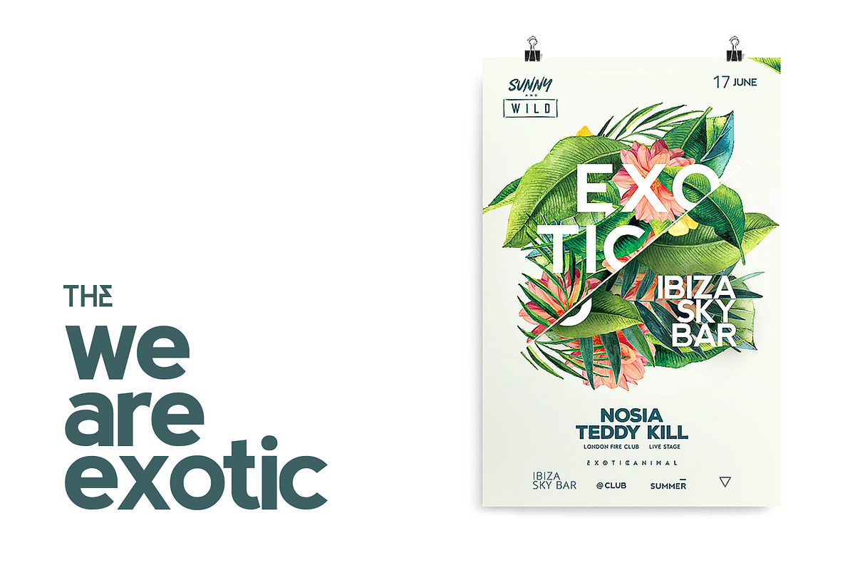 Exotic Flyer preview 2