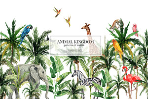 ANIMAL KINGDOM & Animals Patterns