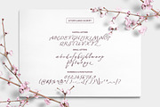 Wonderland Fonts Pack & Branding Kit, a Script Font by Graphicdome (Thumbnail 45 of 118)