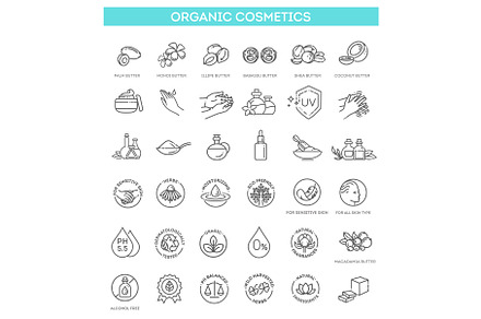 Vector set of natural ingredients, an Outline Icon by Tettygreen