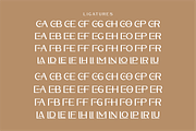 Waldecry A Modern Serif Font, a Serif Font by Storytype Studio (Thumbnail 8 of 15)