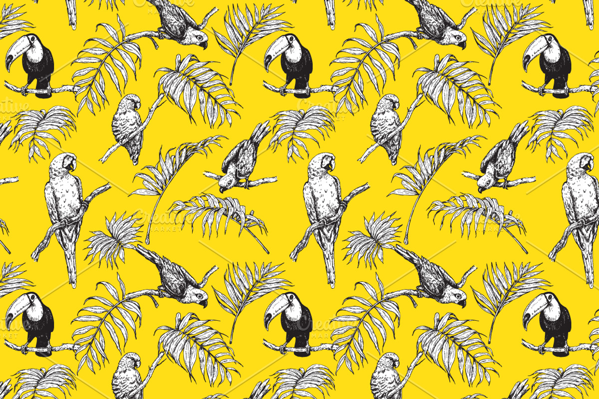 Tropical Birds Sketch, an Animal Illustration by Valentyna Smordova (Photo 3 of 5)
