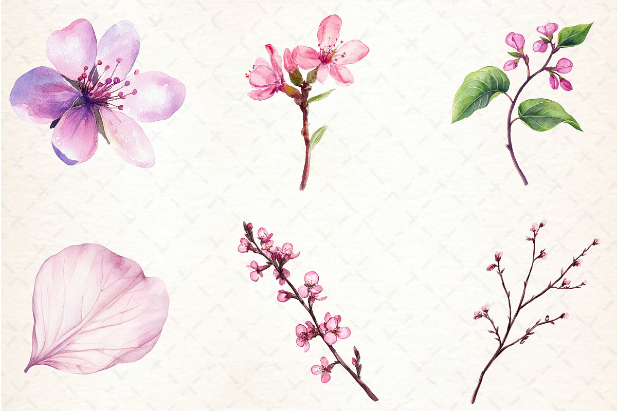 Spring Redbud Flower Clipart, an Illustration by Libby Wishes (Photo 3 of 7)