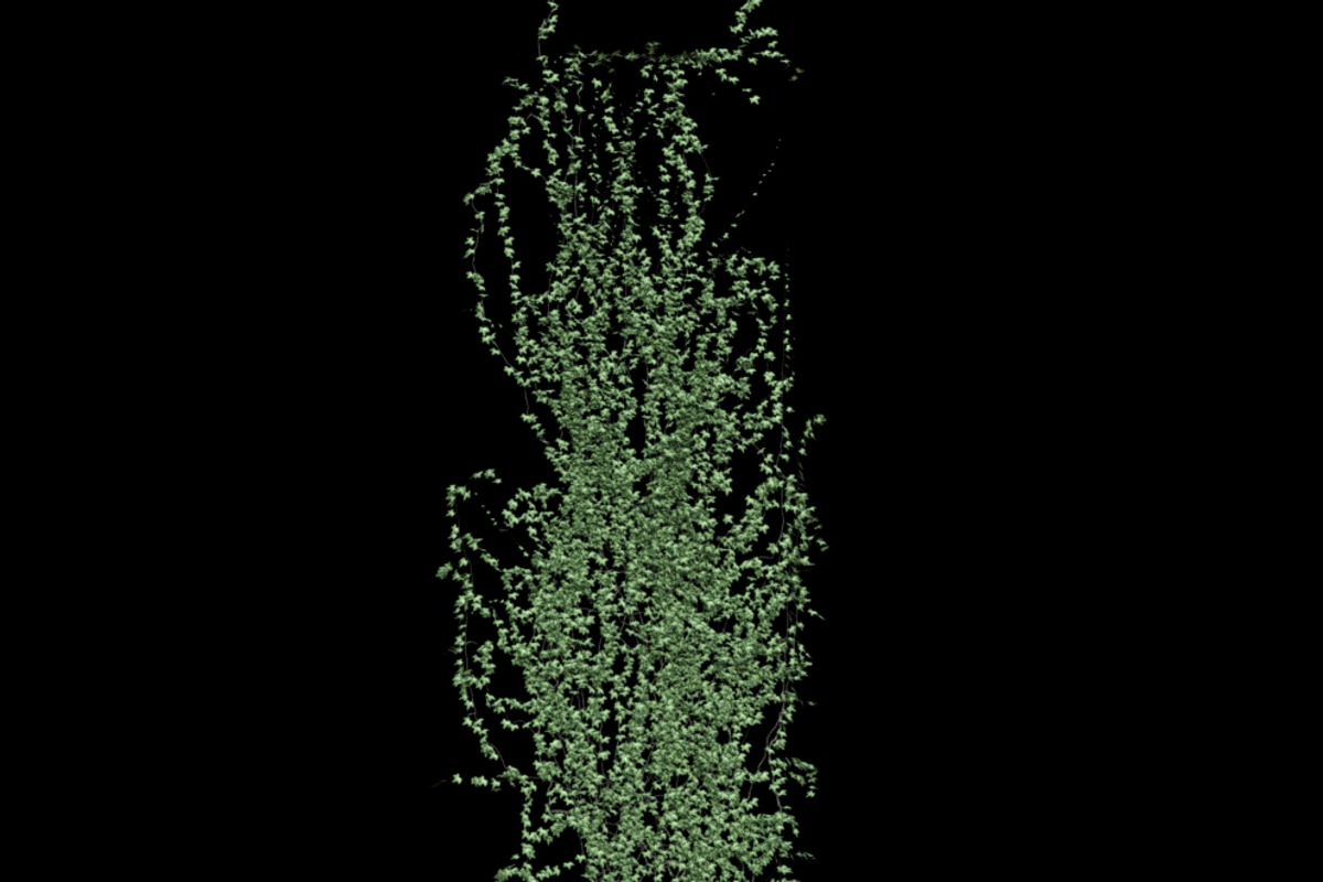 pack Nature, an Object Graphic by FlyOk (Photo 3 of 9)